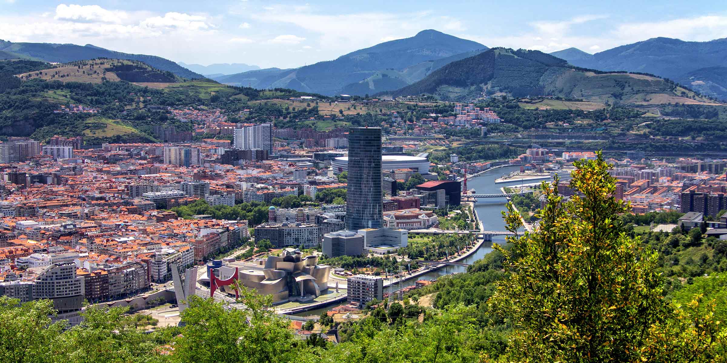 birds eye view of the city of Bilbao, with vegetation in the foreground and mountains in the background.