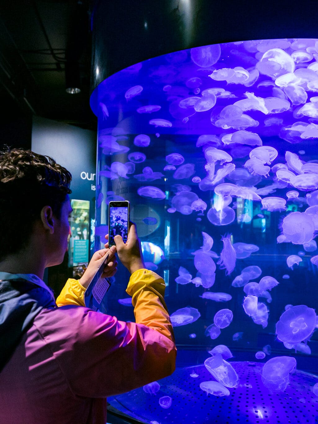 Person with short brown hair holds up their phone to take a photo of a large jelly fish tank.