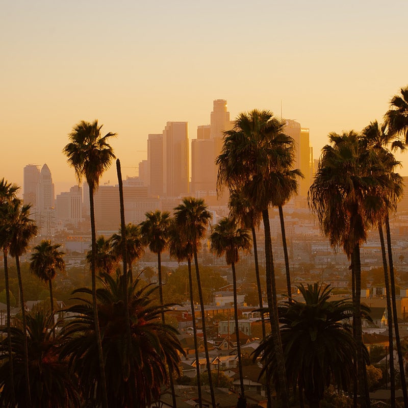 The city of Los Angeles viewed with palm trees in the foreground at sunset.
