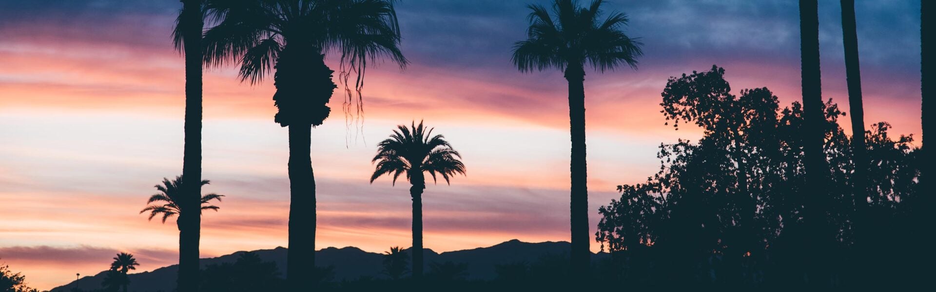 Silhouettes of palm trees and mountains against a sunset.
