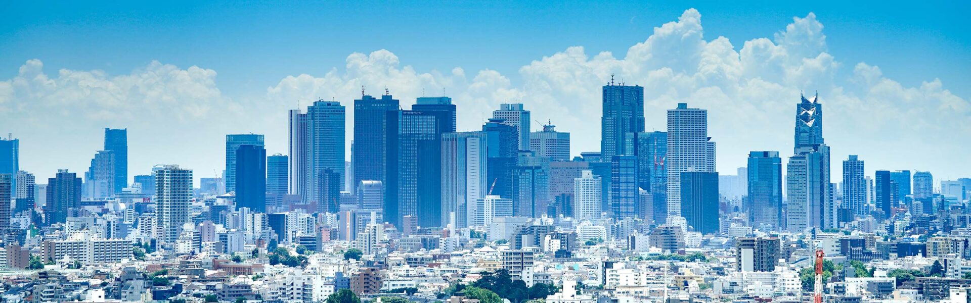 The city of Tokyo in the summer, with a blue sky behind the skyscrapers.