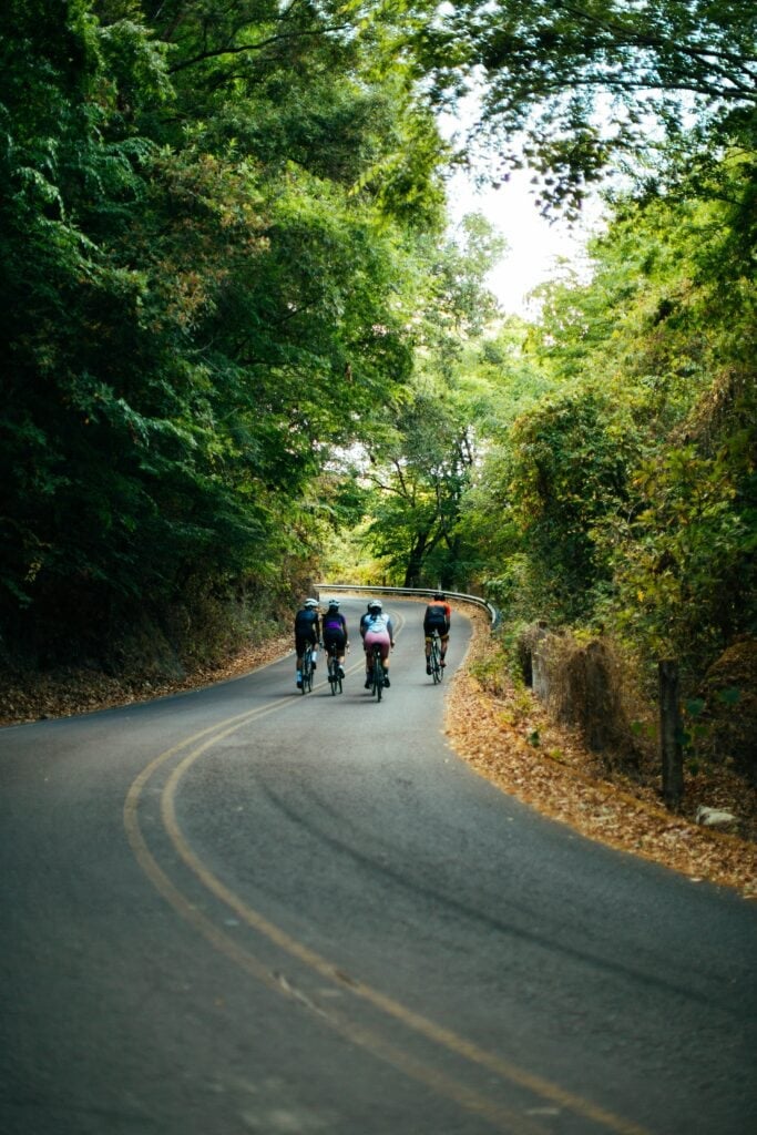Four people riding bicycles up a hill