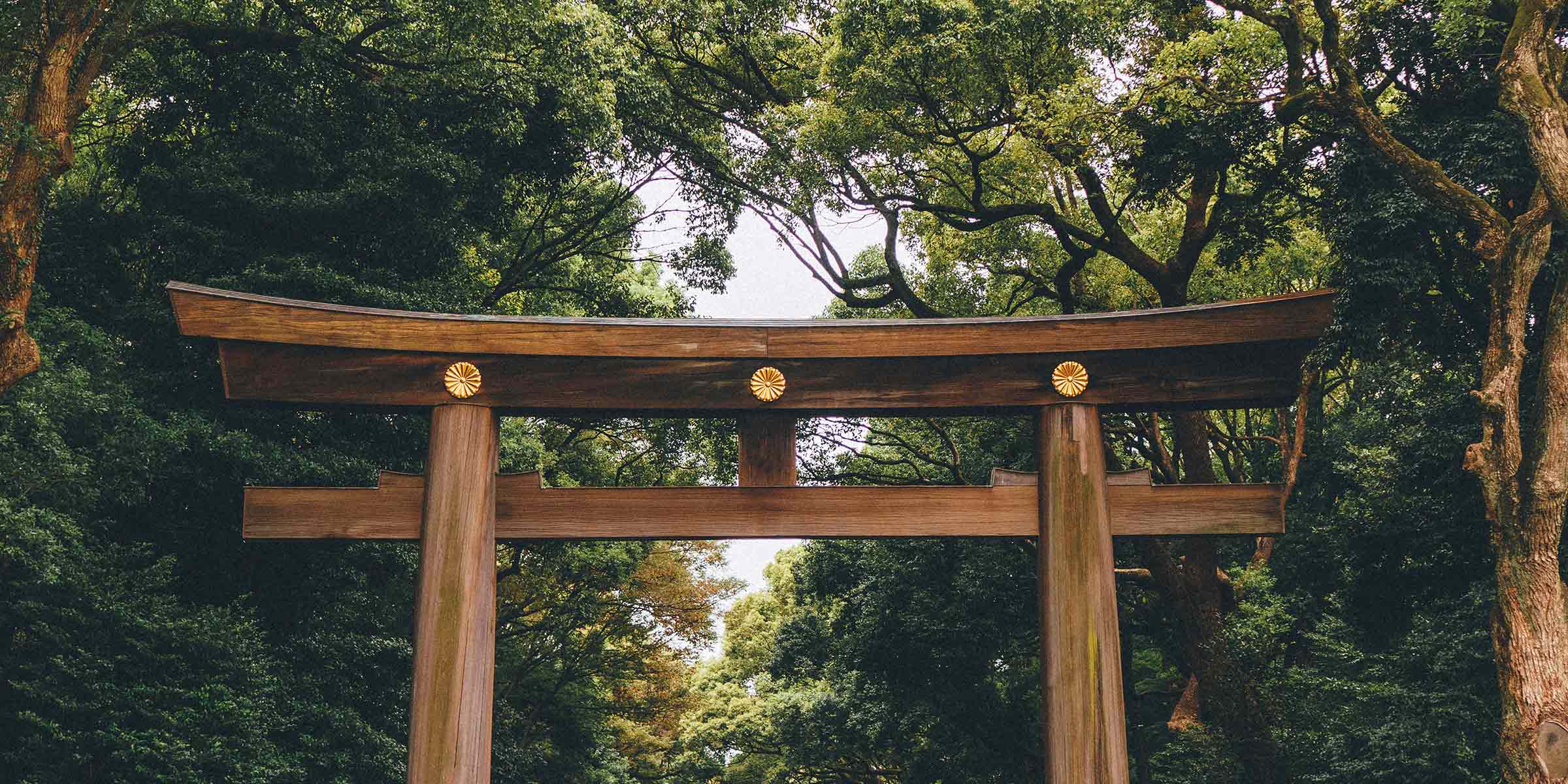 A wooden doorway structure in a forest.