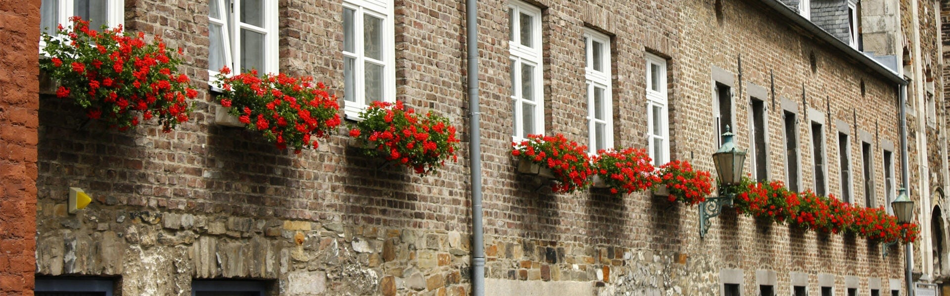 A row of windows and window boxes with flowers.