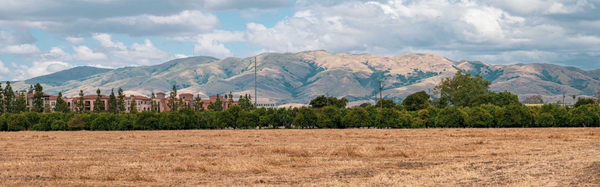 Mountains in the distance.