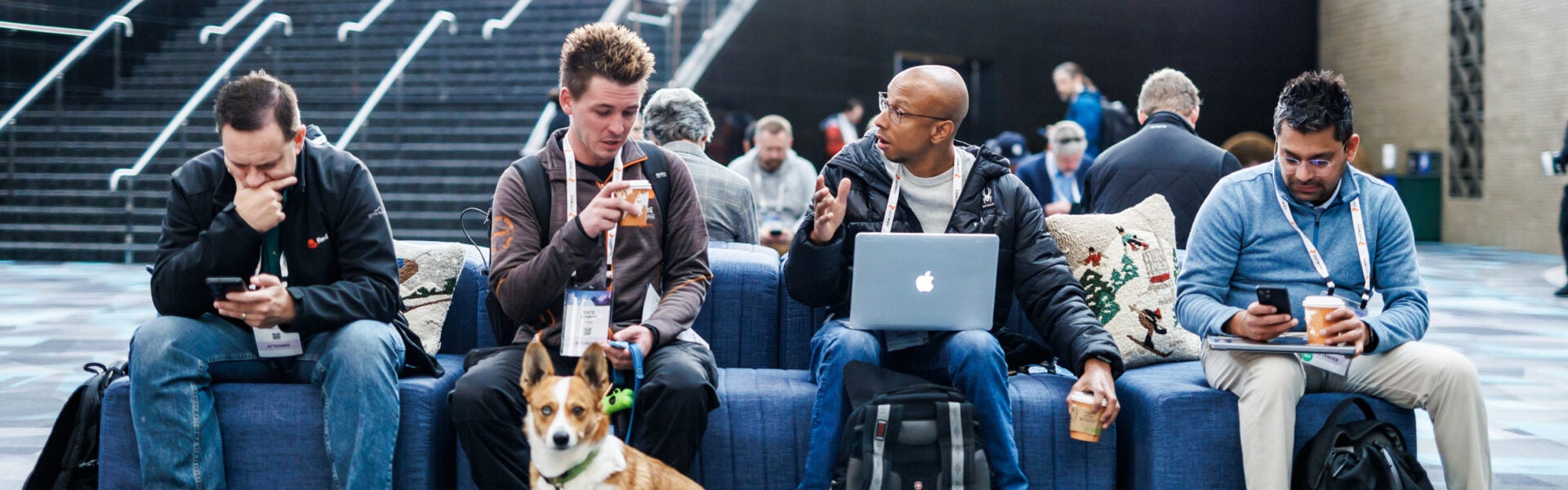 Four men sitting on a bench and a dog in front of them looking at the camera.