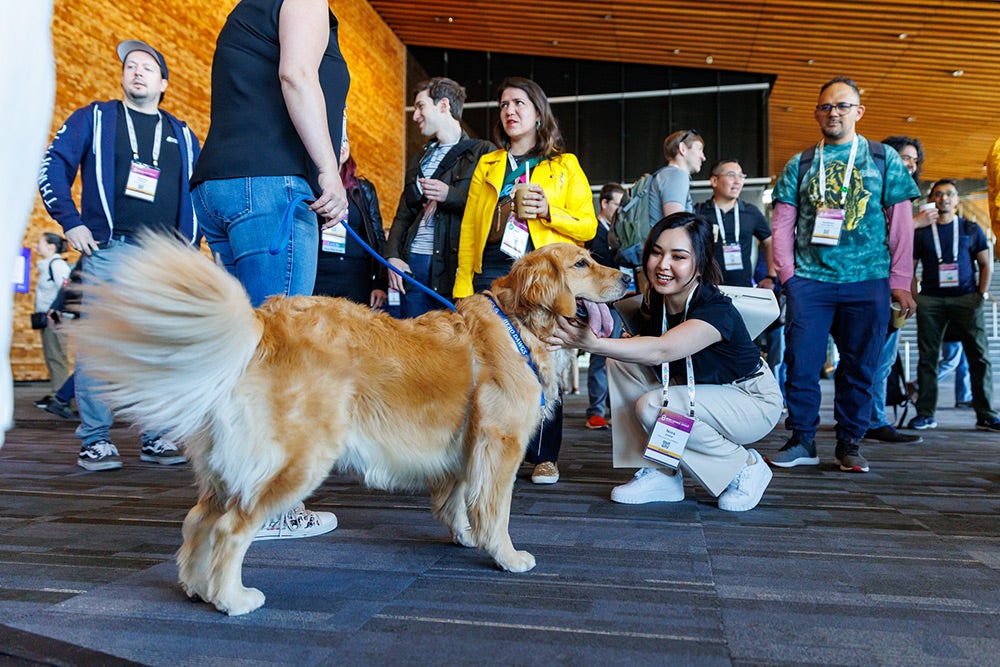 Attendees at an event gathered around a golden retriever.