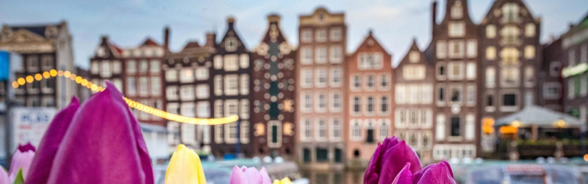 Brightly colored tulips in the foreground with row buildings in the background.