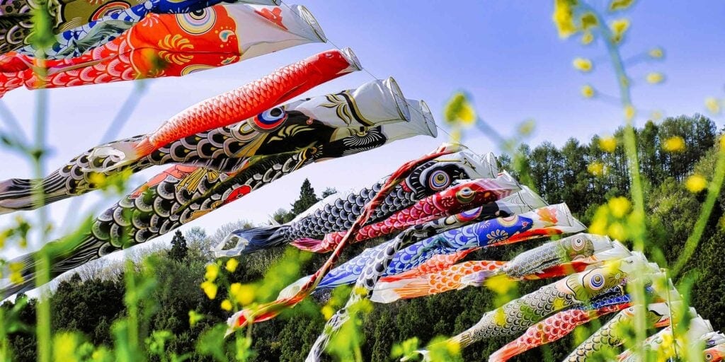 Colorful fish streamers flying outdoors against a blue sky.