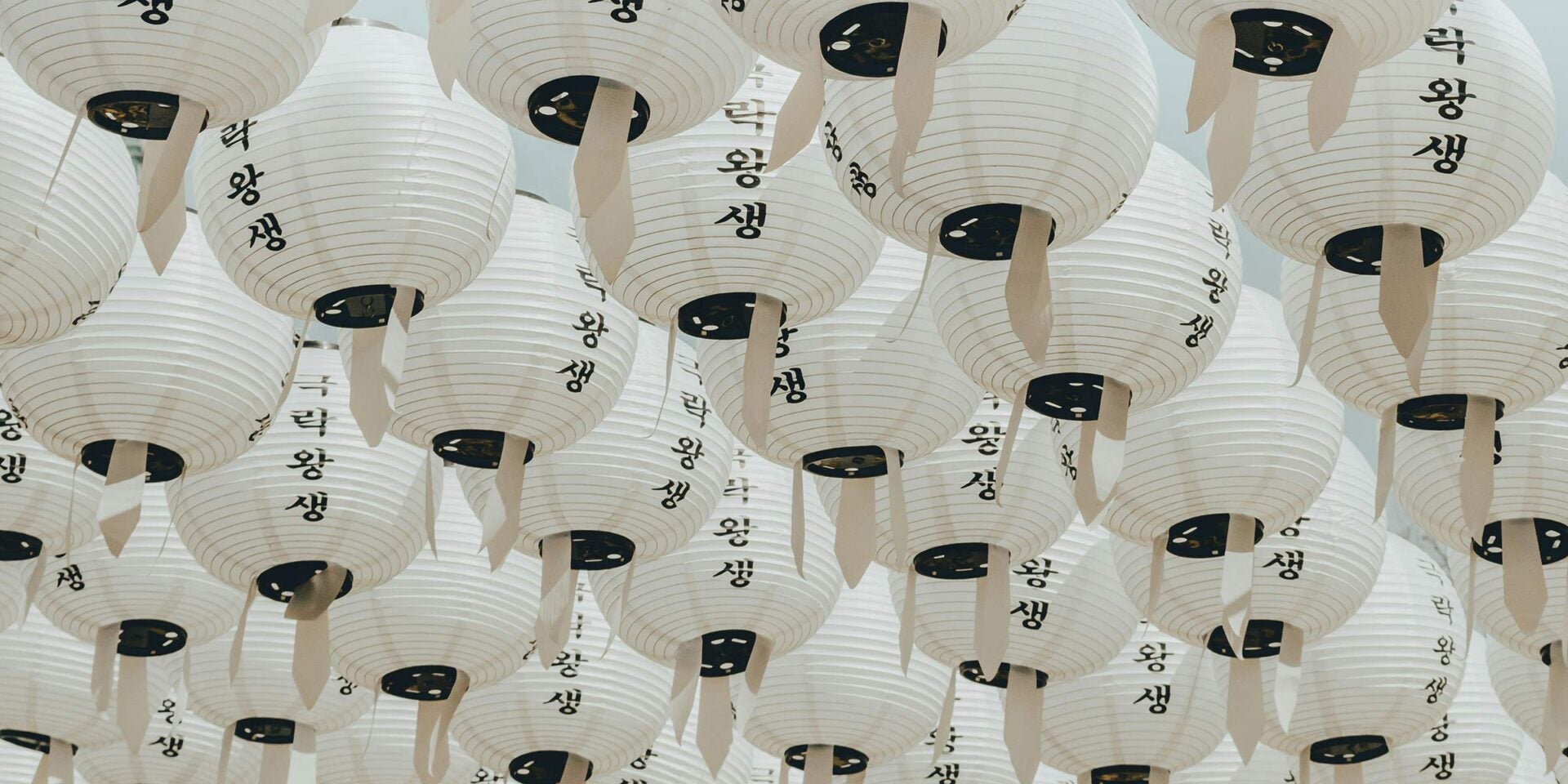 Rows of white paper lanterns with black Korean writing hanging closely together.