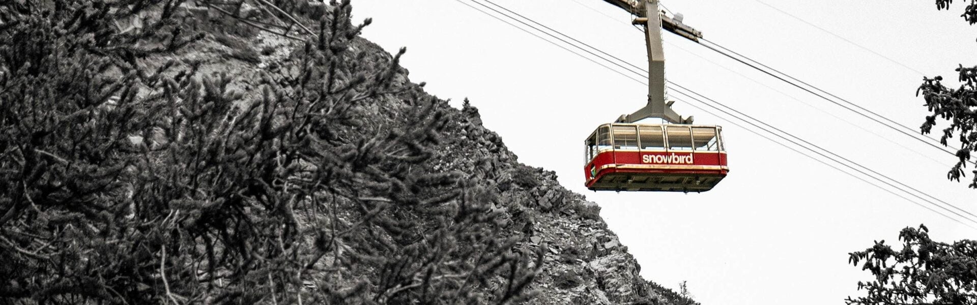 Cable car with "snowbird" on the side suspended over rocky mountainside
