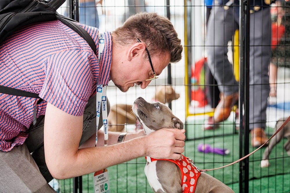 Man crouching to pet a dog, smiling and interacting closely with the animal.