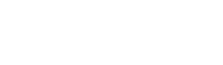 Commonwealth Cyber Initiative logo